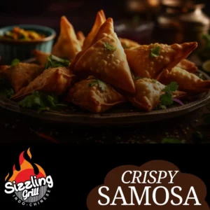 Best Samosa in Calgary